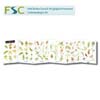 FSC Fold-out Chart - Plant Galls
