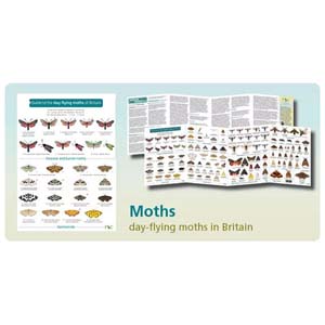FSC Fold-out Chart - Day Flying Moths