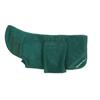 Mountain Paws Dog Robe Green