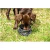 Mountain Paws Collapsible Dog Water Bowl Camo