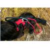 Mountain Paws Dog Harness Red